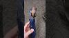 Antique Garage Sale Flashlights Flea Market Finds Space Shorts Shortvideo Antiquecollectibles