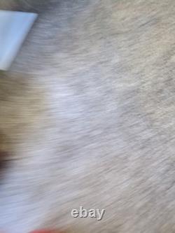 Antique Red Coleman Lantern Vintage All Original