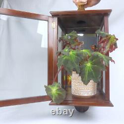 Antique Vintage Wall Mounted Lamp Lantern Case Terrarium. Bevel Glass Mirror Back