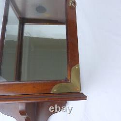 Antique Vintage Wall Mounted Lamp Lantern Case Terrarium. Bevel Glass Mirror Back