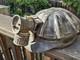 Miners Helmet Turtle Shell Hard Hat Justrite Carbide Lantern Lamp Antique