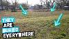Strange Sink Spots In The Yard Lead To A Massive Paydayt Buried In The Ground For 140 Years