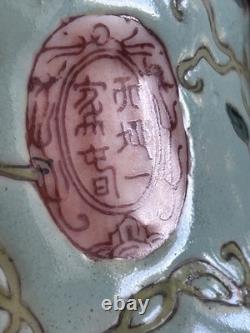 Vintage Chinese Dayazhai Style Porcelain Birdcage Lantern Wisteria 3D Birds