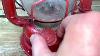 Vintage Dietz Comet Kerosene Lantern Made In USA