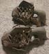 Vintage Heavy Cast Iron Koi Fish Japenese Garden Lantern Holder 14 Long